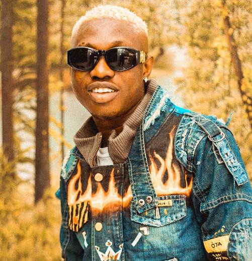 Zlatan Ibile Net Worth 2021