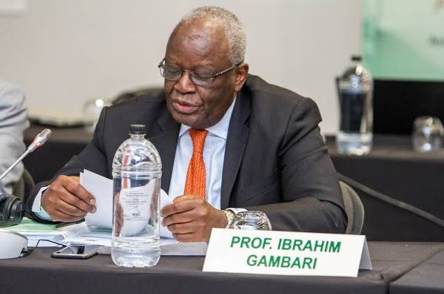 Profile and Biography of Ibrahim Gambari, Buhari's New Chief of Staff