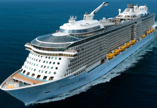 Top 10 Biggest Cruise Ships In The World 2024