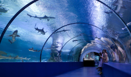 Biggest Aquariums in the World 2021