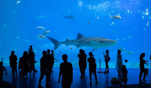 Top 10 Biggest Aquariums in the World 2021