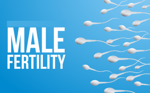 best male fertility supplements 2021