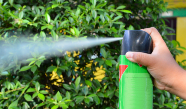 Top 10 Best Bug Sprays for Home Pest Control