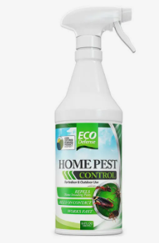 Best home bug spray 2021