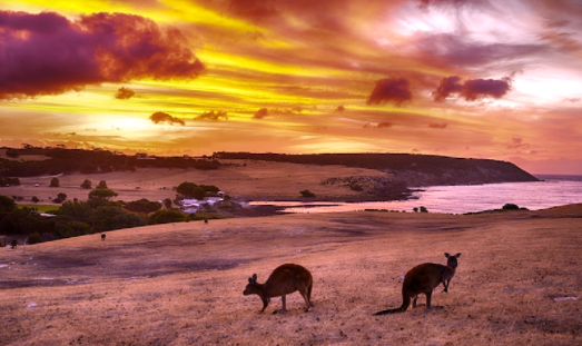 Best Places to visit in Australia