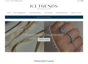 Best Online Jewelry Stores in the World