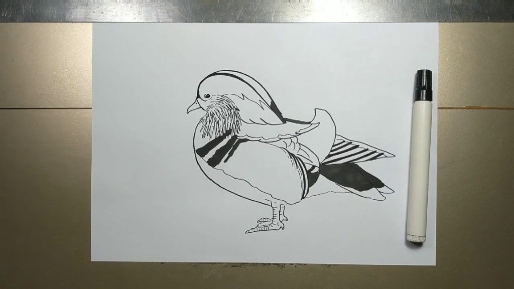 Top 10 Best Animals to Draw (Step By Step)