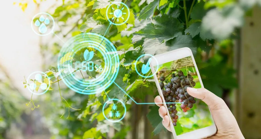 20 Best Agritech Startups to Watch in 2024